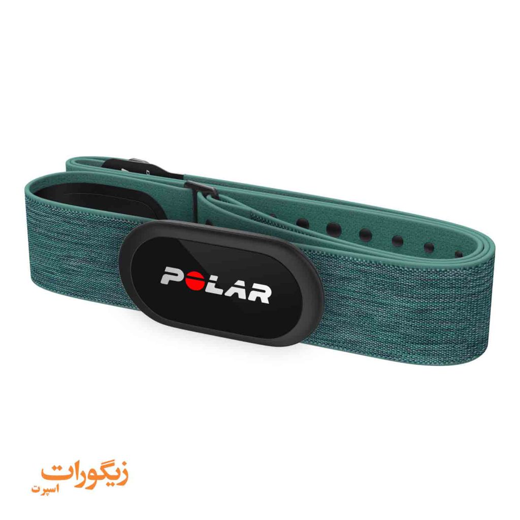 Polar H10